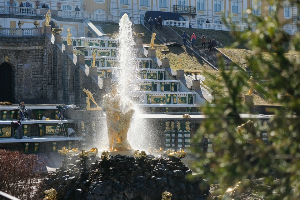 Перед открытием фонтанов в Петергофе проводят масштабную профилактику и ремонт труб.