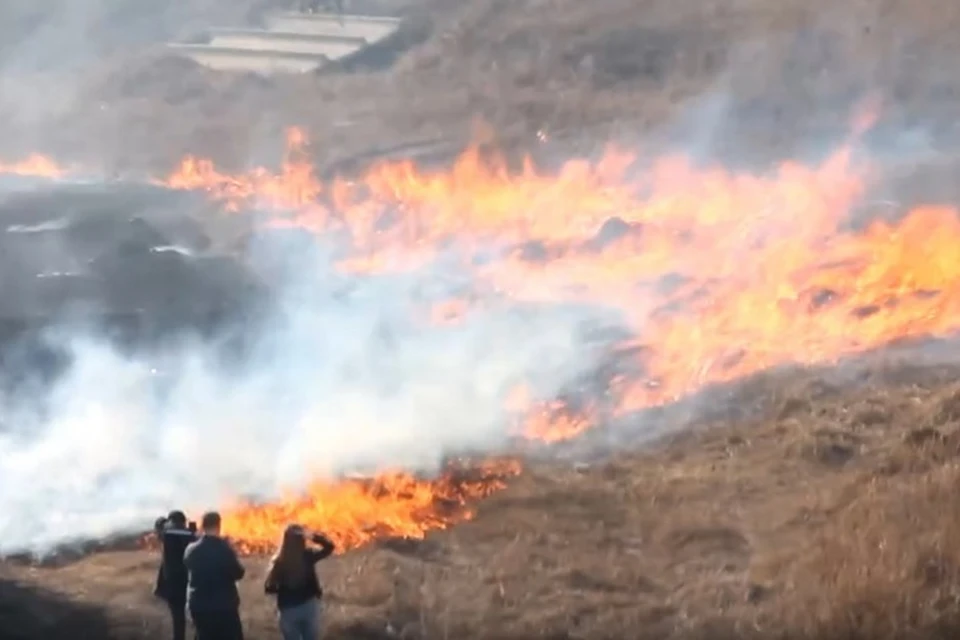 Желание пожарить шашлыки на природе приводит к масштабным пожарам. Фото: "ВКонтакте"