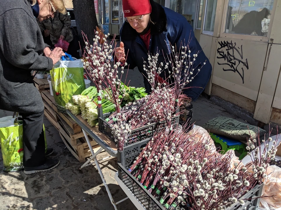 Купить Вербу Оптом В Москве