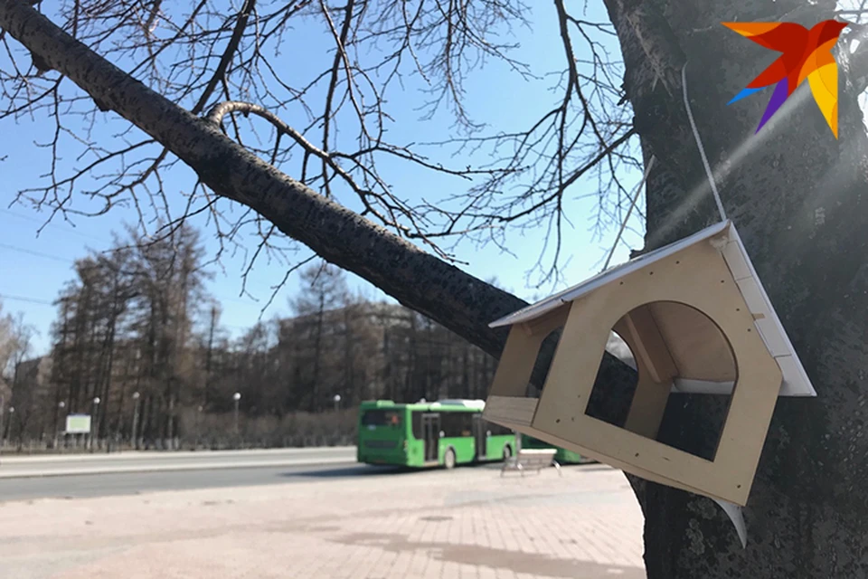 На тюменском рынке жилья продолжается конфликт между застройщиками и риелторами