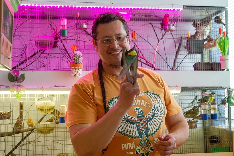 Орнитолог-любитель Виталий Симуткин собрал в своей квартире уникальную коллекцию из трехсот птиц.