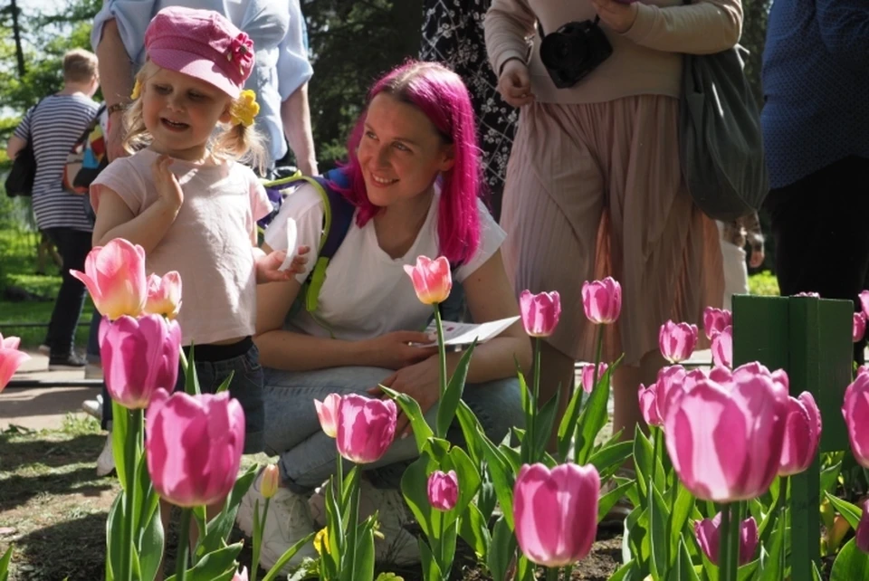 Елагин парк открыл свой цветник