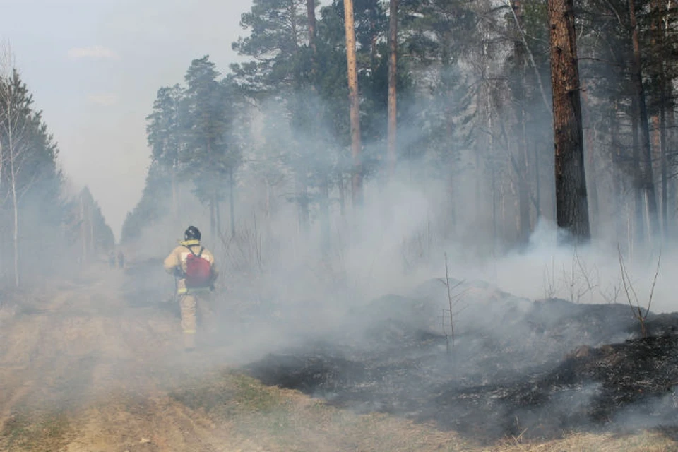 МЧС: дым от лесных пожаров вновь может окутать Иркутск. Фото: ГУ МЧС России по Иркутской области.