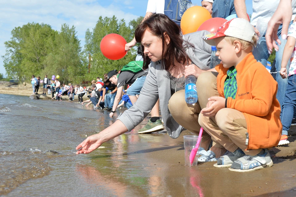 Участники акции «Золотая рыбка» выпустили в Волгу 55 тыс. мальков сазана и толстолобика