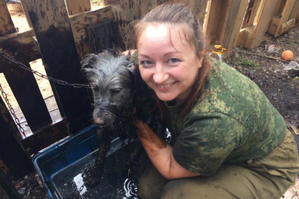 «Она была на последнем издыхании»: в Биробиджане спасатель вытащил собаку из ямы с битумом