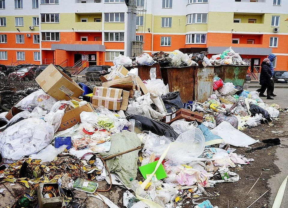 В Коми сложилась нехватка мусорных контейнеров