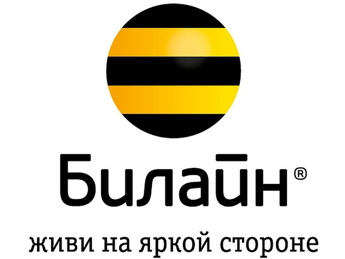 Билайн представляет «Социальный пакет» для пенсионеров, студентов,  многодетных родителей и людей с инвалидностью по всей России - KP.RU