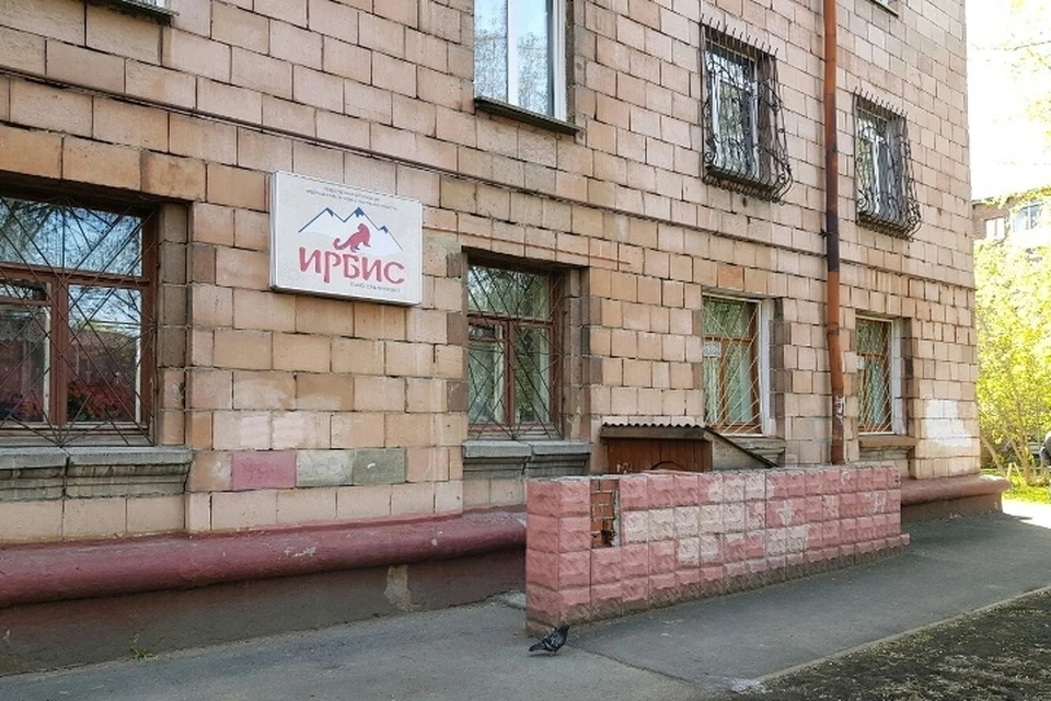 Таким вход в "Ирбис" был еще неделю назад Фото: "Федерация альпинизма Кемеровской области" / "ВКонтакте"