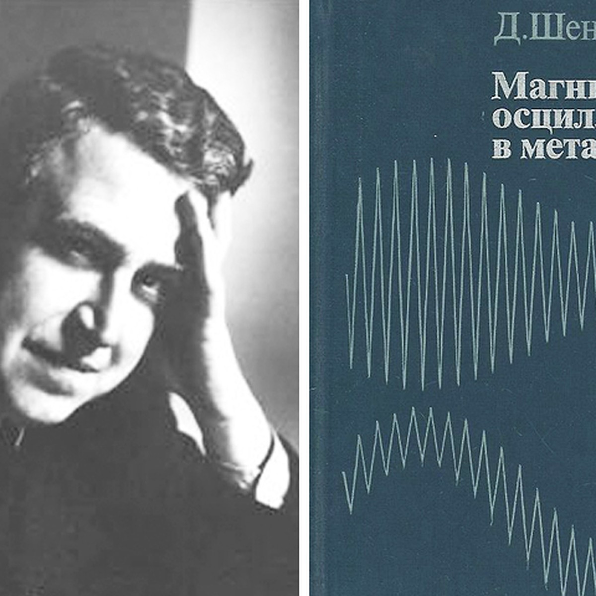 Как пинчанин Дэвид Шенберг стал светилом науки в области сверхпроводимости  - KP.RU