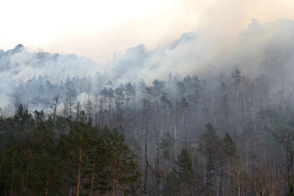 Лесные пожары в Иркутской области: горит более 50 тысяч гектаров тайги