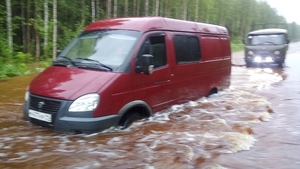 Фото: Ксюша Таскаева, соцсеть "ВКонтакте"