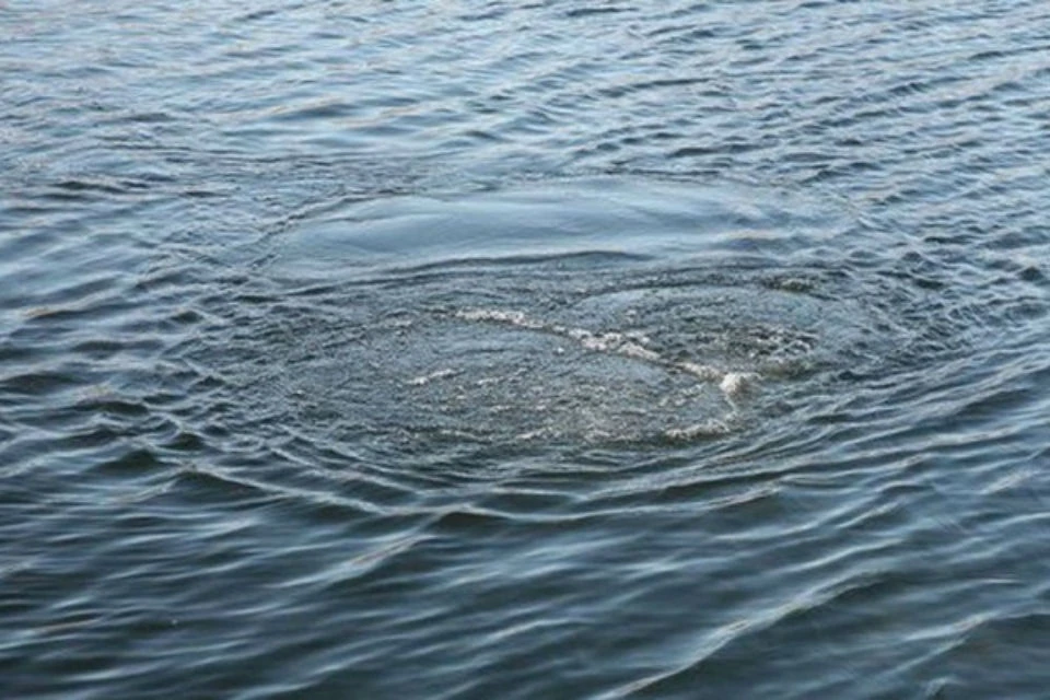 Мужчина рыбачил с другом в лодке и упал в озеро.