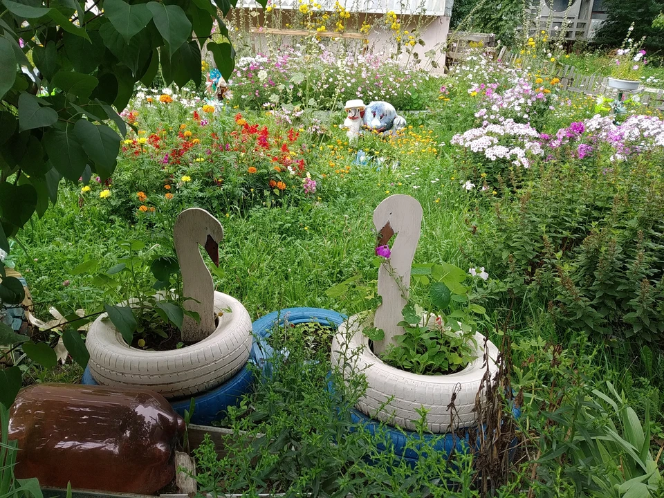 Шинные лебеди плывут по владимирским дворам
