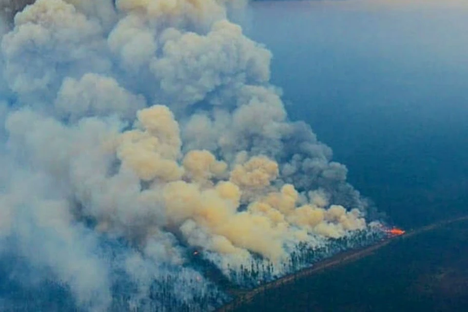 Дым от лесных пожаров достиг отдаленных поселков на Таймыре Фото: Лесопожарный центр