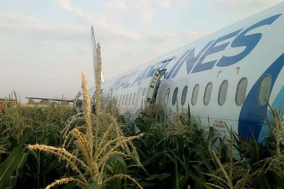 Самолет А-320 вылетел из Москвы в Симферополь, но был вынужден аварийно приземлиться