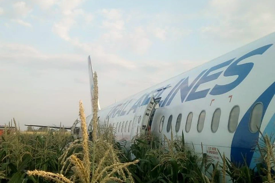 Самолет рейса Москва - Симферополь совершил жесткую посадку в поле после взлета из аэропорта Жуковский