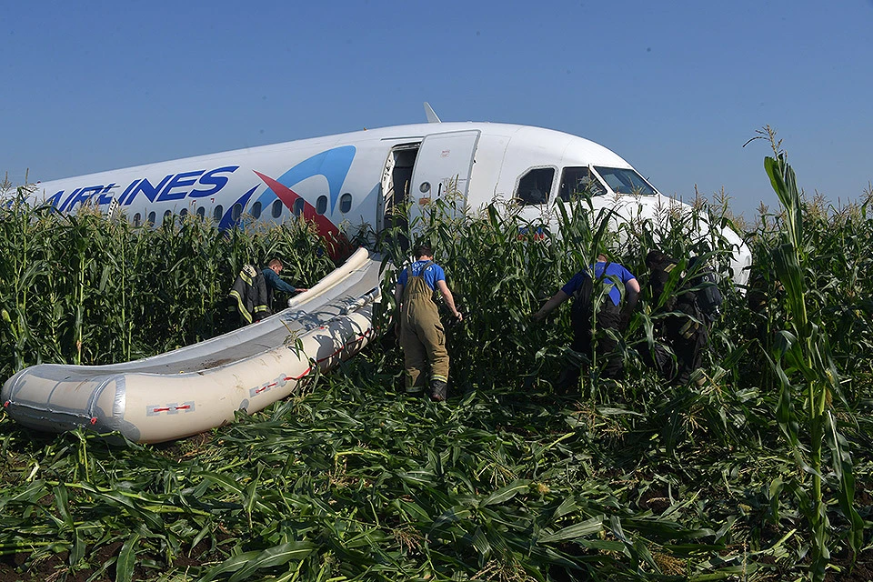 Самолет приземлился на "брюхо" в кукурузном поле