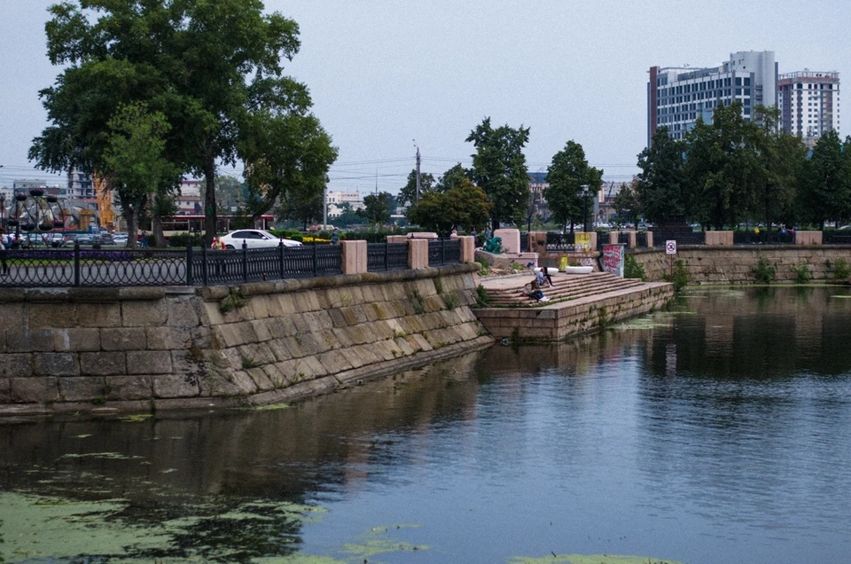 В Челябинске у органного зала срубили деревья. Фото: Любовь Богородцева