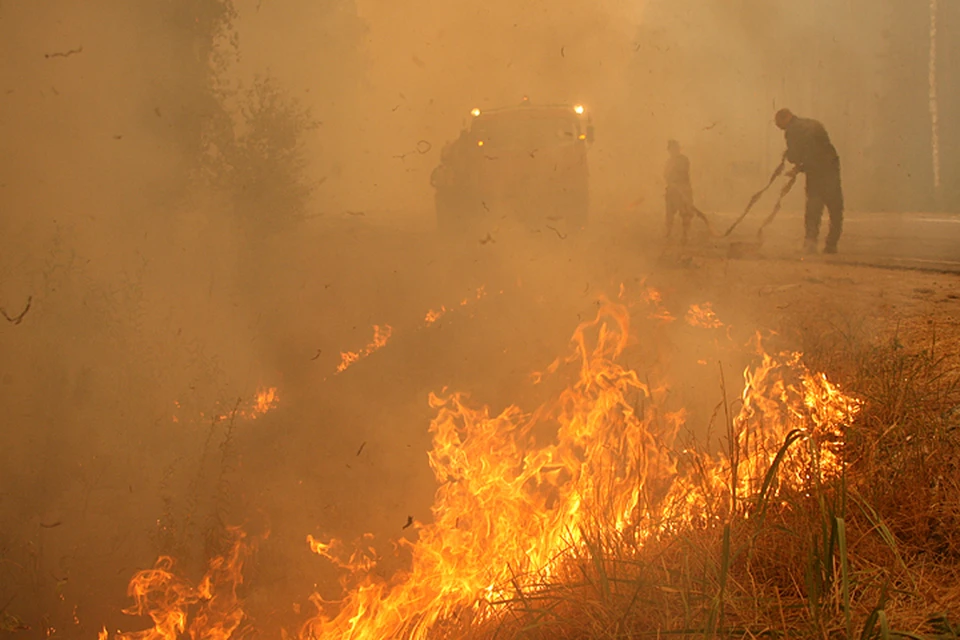 Все лето в Сибири бушевали сильные пожары