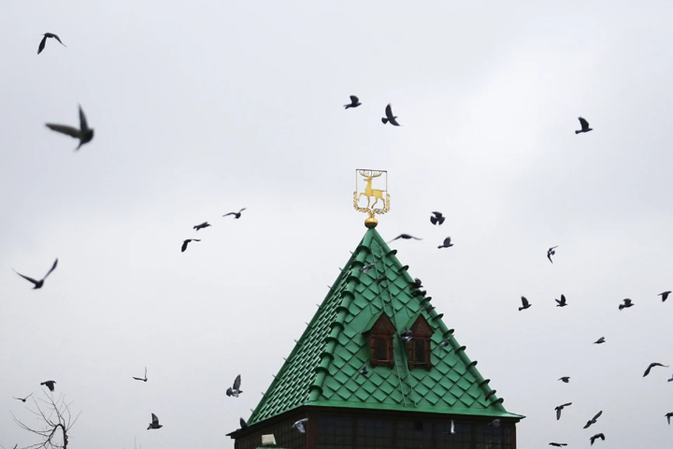 Нижегородские власти заговорили о переезде