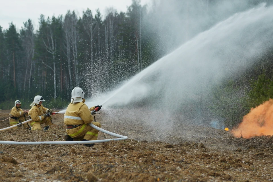 Леса в России горели в этом году с мая и все лето