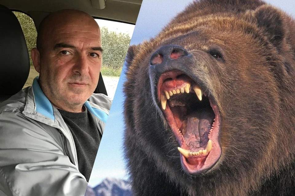 Грибник считает, что медведь был сытый. Это спасло ему жизнь. Фото: предоставлено Сергеем