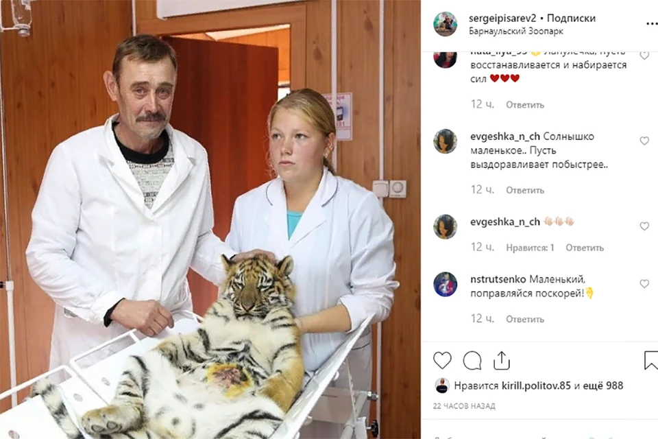 Фото: скриншот из инстаграма Сергея Писарева