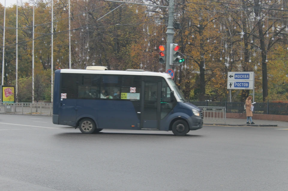 Себестоимость проезда без учета дохода перевозчиков и трат на обновление транспорта - 18-19 рублей.