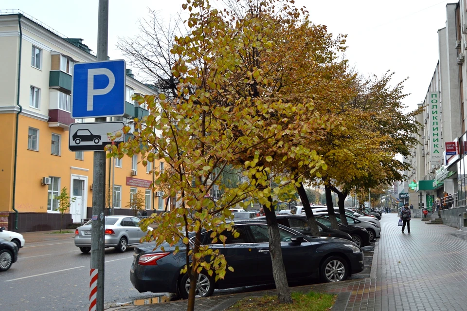 Появятся ли в Липецке платные парковки