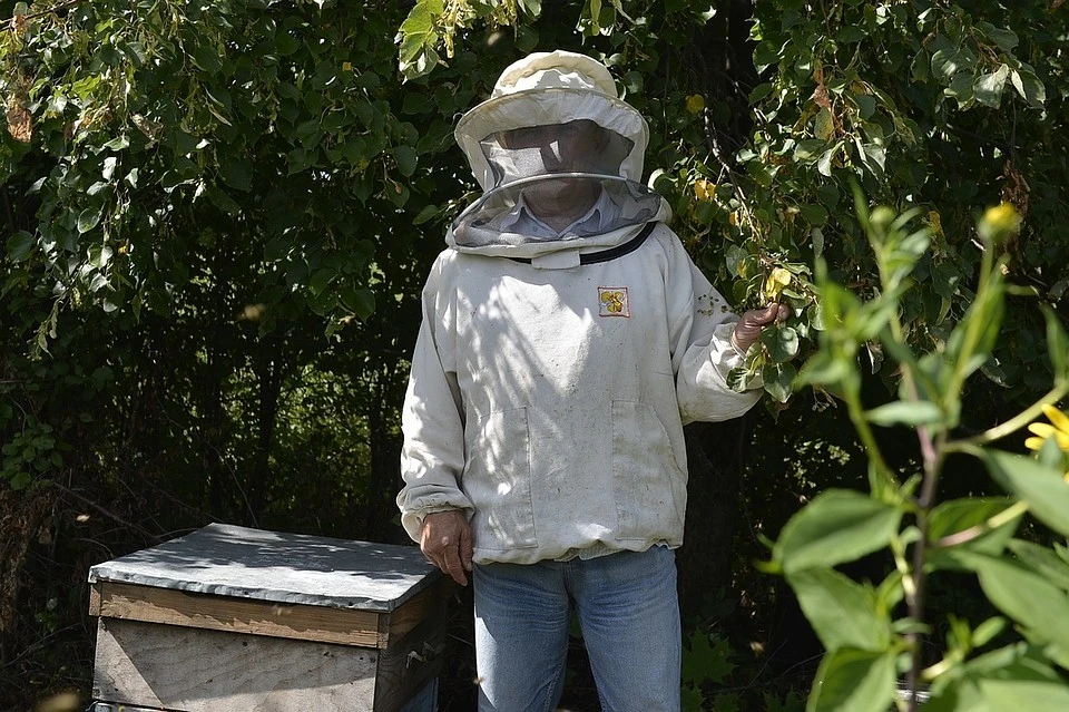Пчеловод