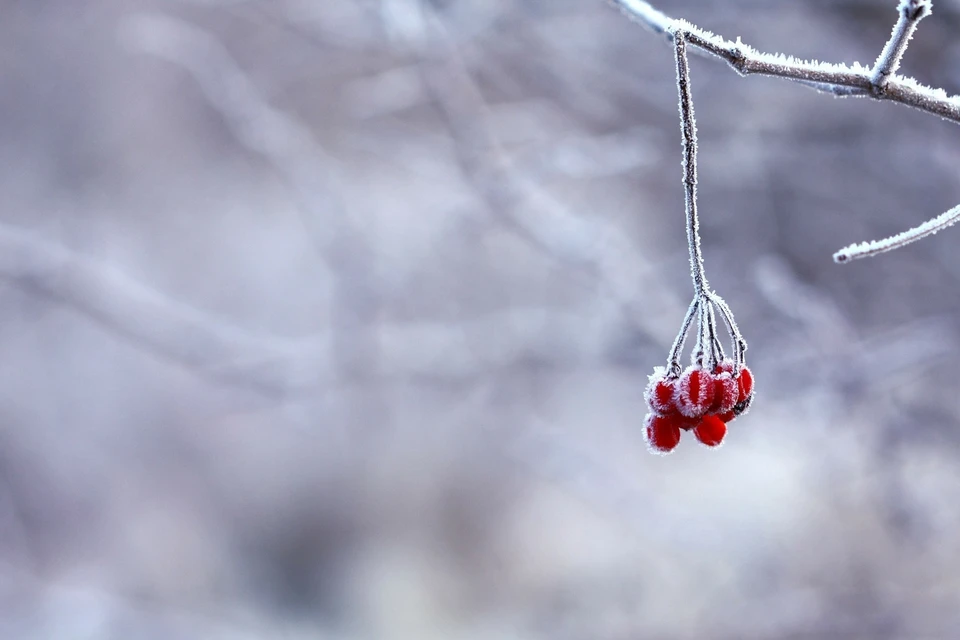 В Приморье похолодает. Фото: pixabay.com