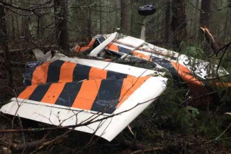Самолет упал в лесной чаще. Фото: ГУ МВД по Пермскому краю.