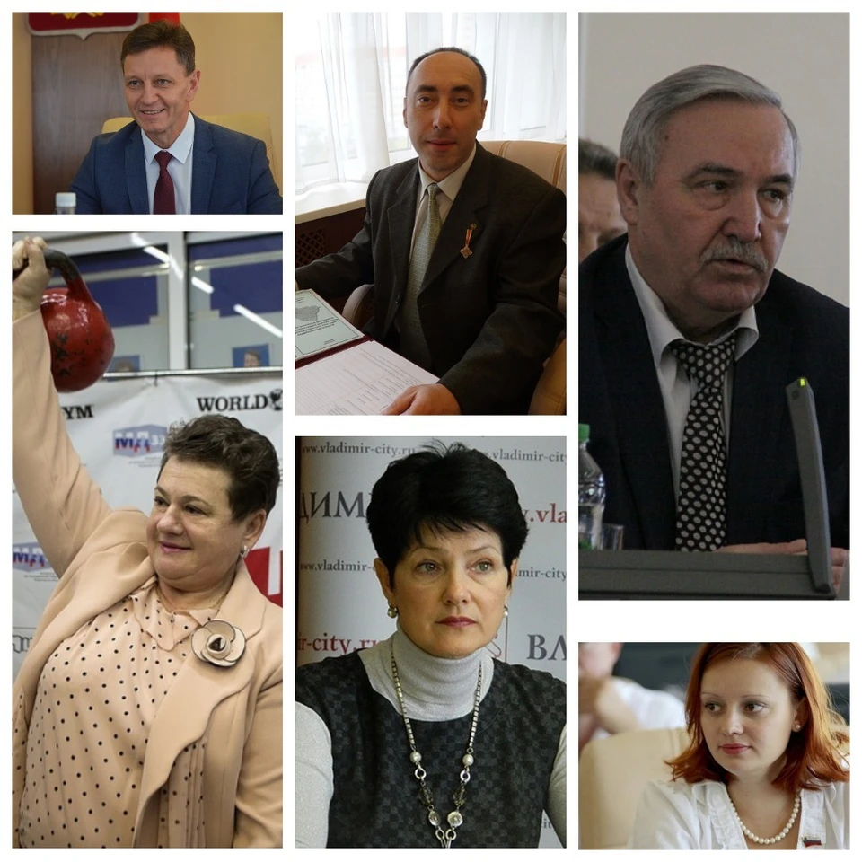 Владимирские политики