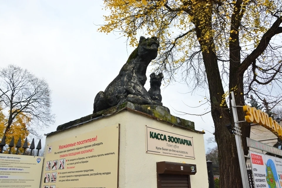 22 ноября скульптуры львов демонтируют и отправят на реставрацию.