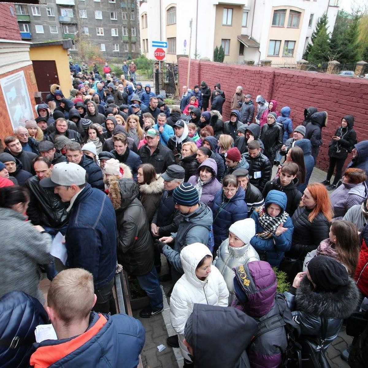 Без очереди удалось прорваться только одному пенсионеру, но его помяли.  Калининградцы штурмуют наркодиспансер на Барнаульской! - KP.RU