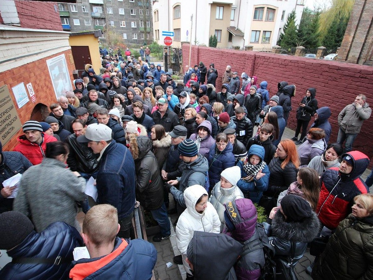 Без очереди удалось прорваться только одному пенсионеру, но его помяли.  Калининградцы штурмуют наркодиспансер на Барнаульской! - KP.RU