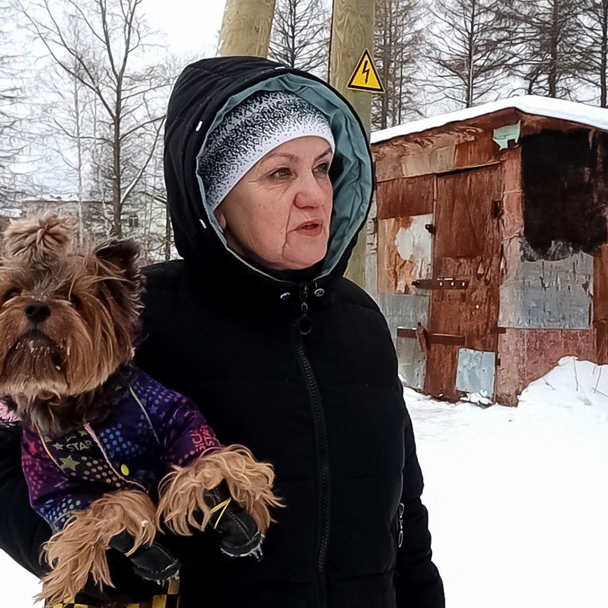 Он воет на всю округу