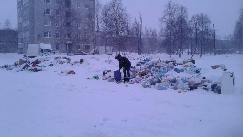 Фото из группы "Типичная Печора"