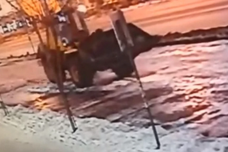 Кадр из видео.