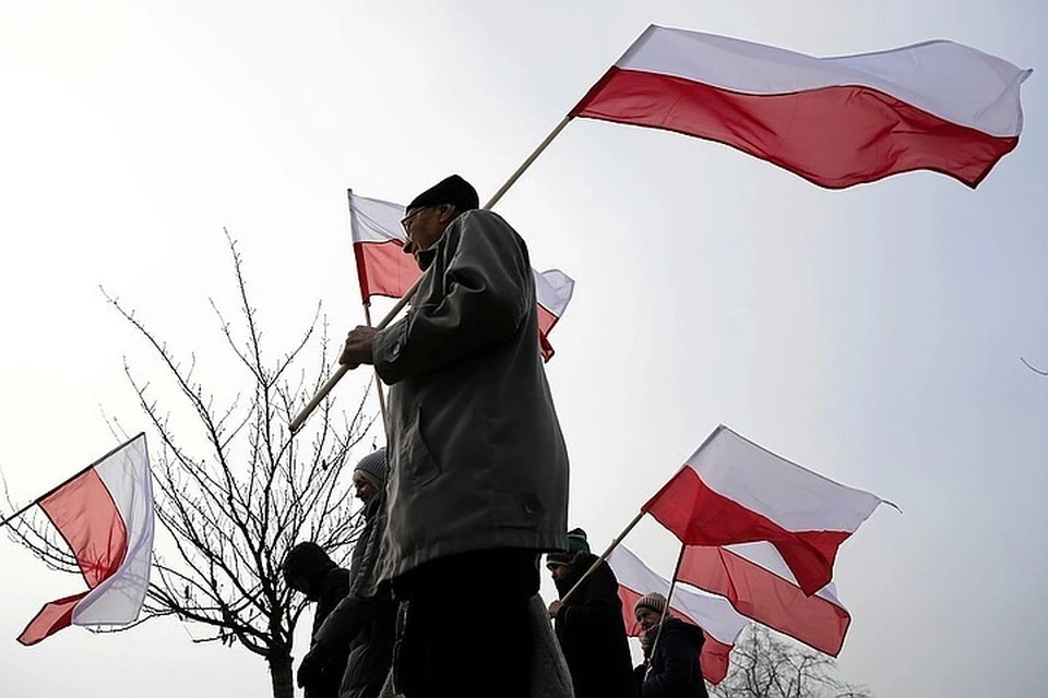 Немецкий политолог рассказал, за что Польша хочет отомстить России