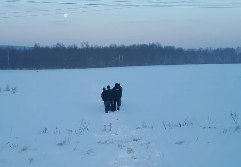 Фото: ГБУ СО "Волжское ГООХ"