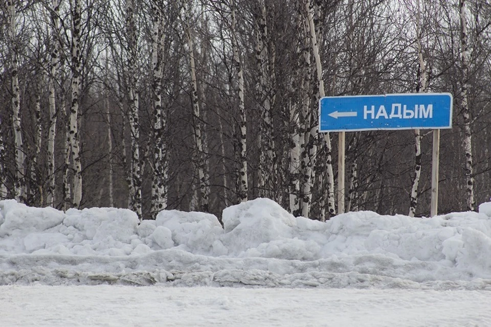 На Ямале из-за метели закрыли зимник Салехард-Надым Фото: Департамента транспорта и дорожного хозяйства ЯНАО