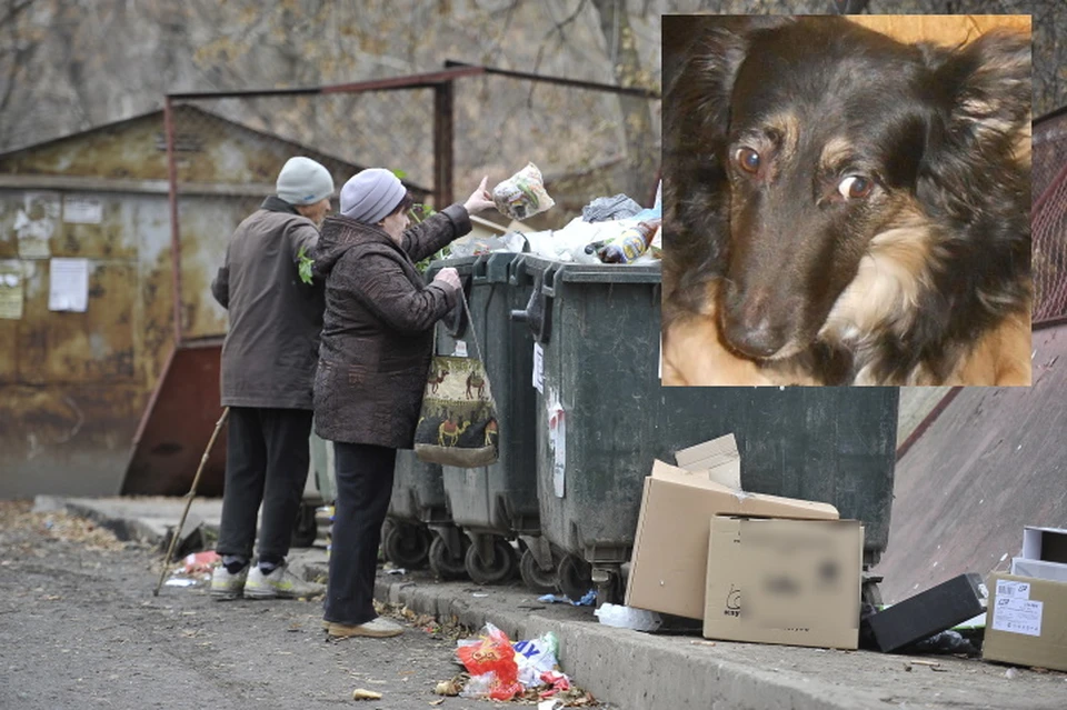Женщина, проходившая мимо мусорки, обратила внимание на скулящий пакет.