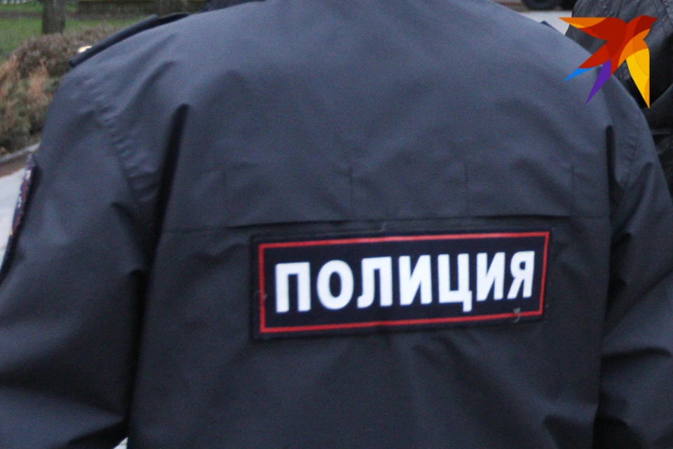 Брянец ответит за нападение на полицейского.