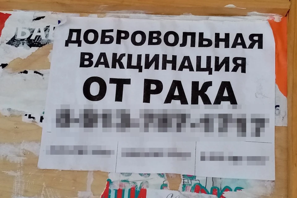 Такое объявление было обнаружено жительницей Новосибирска на подъезде. Цифры замазать. Фото: читатели КП-Новосибирск.