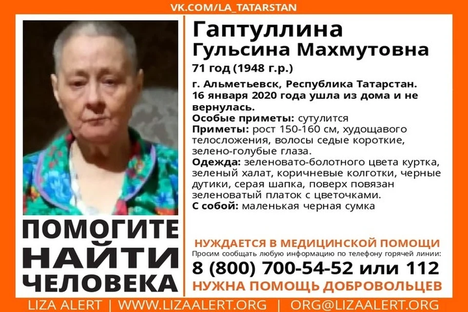 Фото: ПСО "Лиза Алерт"