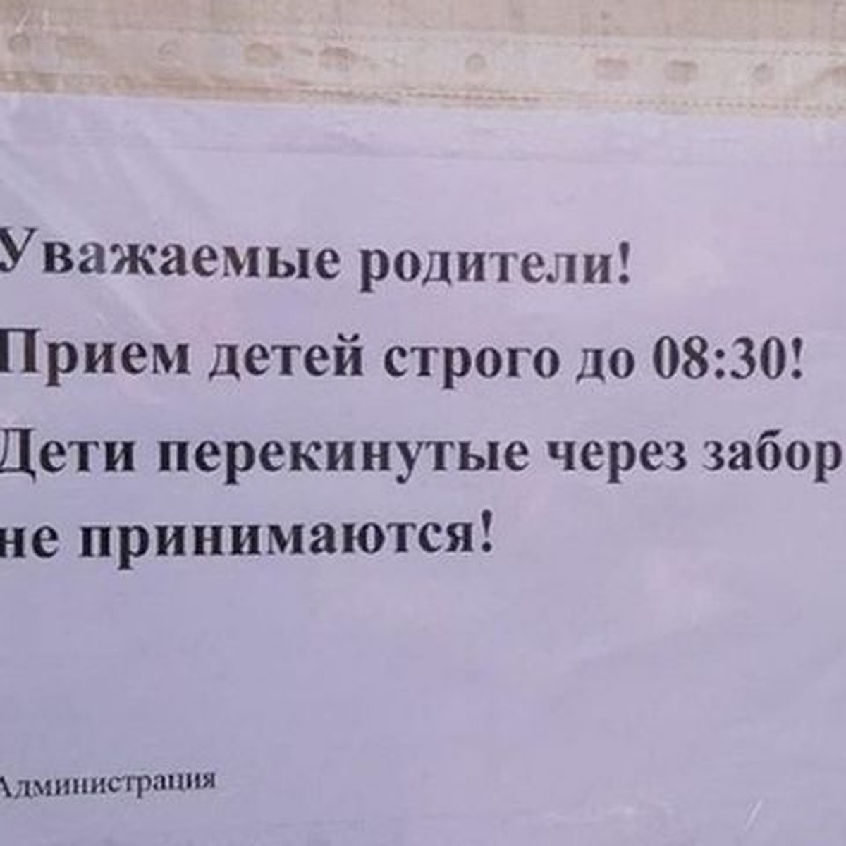 Дети, перекинутые через забор – не принимаются: необычное объявление  обсуждают приморцы - KP.RU