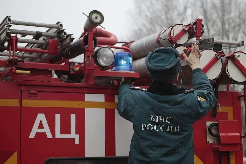 Если нарушения будут обнаружены, на руководителей подадут в суд, а виновников привлекут к ответственности