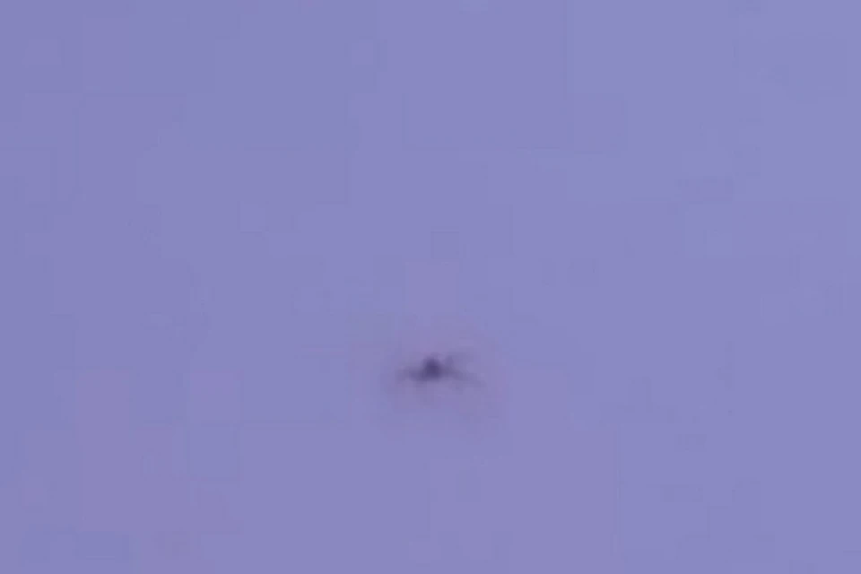 фото: скриншот видео