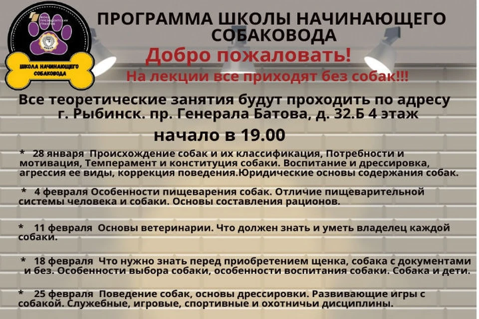 Будут и теоретические лекции, и практические занятия. ФОТО: группа Школа начинающего собаковода ВКонтакте